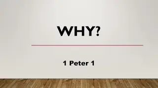 Will Peever 03 08 2025