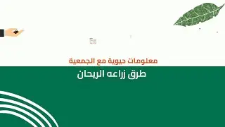 طرق زراعه الريحان