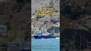 Going Fishing in Newfoundland
