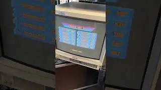 Sony Trinitron 19