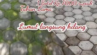 Cara Membersihkan Lumut di lantai conblok