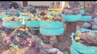 um tour pelo jardim de minha amiga 😻