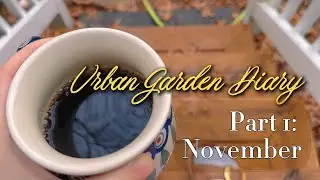 November Urban Garden Diary: Shade Perennials, Winter Greens, + Scrap Gardening