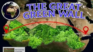 Africa's Insane Plan to Plant Trees Across 8000km From Senegal to Djibouti - The Great Green Wall