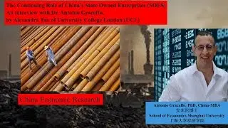 The Role of  China&rsquo;s State Owned Enterprises (SOEs)