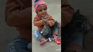 poor cats getting killed by baby