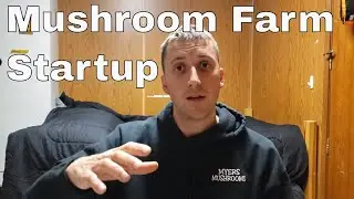 Guide For Starting Your Mushroom Farm