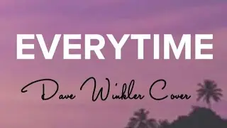 Everytime - Dave Winkler Cover (Lyrics) | Lyrics Vibe