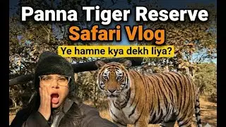 Panna Tiger Reserve me hamne kya deekha liya ? | Safari Vlog | ModernWordz