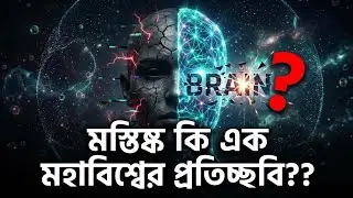 আপনার মস্তিষ্ক কীভাবে আপনাকে নিয়ন্ত্রণ করে? | Brain Waves Explained Bangla
