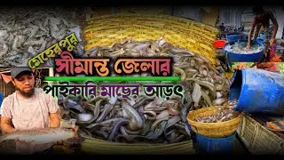 সীমান্ত জেলার পাইকারী মাছের আড়ৎ