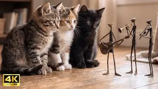 Clumsy Cat Backup Dancer & Wire Musicians | New Music & Art 4K