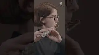 Davide Formisano's masterclasses & more flute content, concerts, and interviews on salineacademy.com