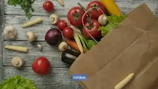 How to Tackle Bad Smell from Garbage Disposal