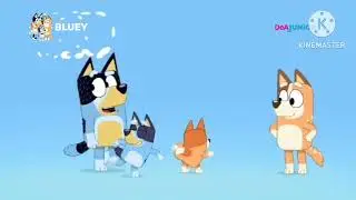Bluey (Theme Song) (Italian)