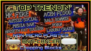 Hongkong Fire Aceh Flood Australia Social Media Ban Bali Bonnie Fat Soldier Labubu Chopping Talenan