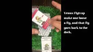 Fly Trap (The Game) Game rules