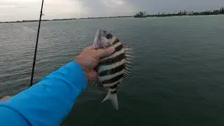 Pompano Bridge Fishing Try With JC Rad Reeling. Hectic.👍
