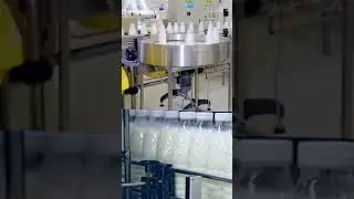 #milk #milk bottles on conveyer belt #milk bottling plant #milk production line #viralshorts #short