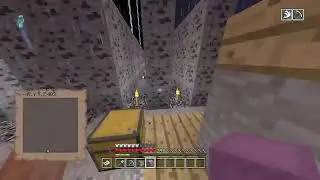 Minecraft PS4 Legacy - Placing/Mining Coal Ore #8