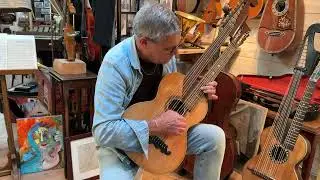 GUITARE SCHRAMMEL (2)