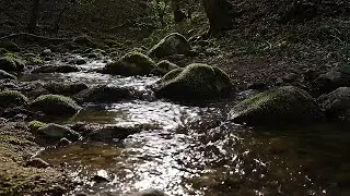 Calm River of Light &ndash; Ambient Piano Music