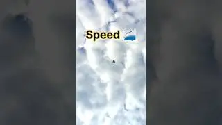 Unbelievable Speed🤯💥 Black Dragon kite🪁🪁 // #bestmanja #kiteflying #patang #kite #viralvideo #shorts