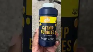 Five Below Catnip Bubbles $2.25 #cat #fivebelow #catlover #catproducts #catlady #catlove