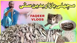 cheap fish market in badin|