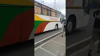DLTB Bus Superlines Bus Raymond Bus 8048  #seanescapade #youtubeshorts #dltb