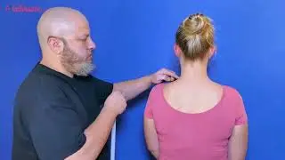 How To Measure Shoulder Length