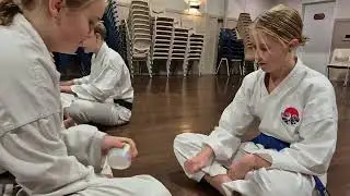 Exploring Traditional Japanese Games and Invoking Cultural Appreciation in Karate
