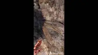 Blade and Sorcery Nomad VR Stream!!