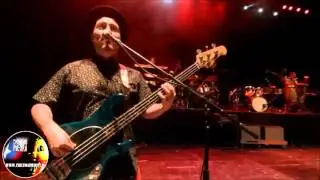 Chancho en Piedra - Festival Vive Chile 2016