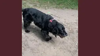 Twisting in the sun