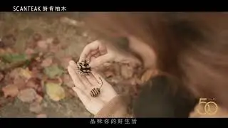 //最新優惠// SCANTEAK詩肯柚木 【 寵爸好禮 現正優惠實施中!】
