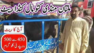 Multan Mandi Katto Mal Rates | Kanda Rate Multan Cow Mandi Latest Update @mandiinfo