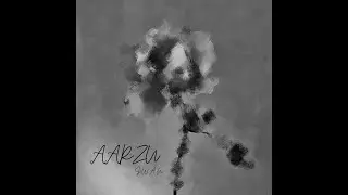 Aarzu &ndash; S.W.A.N (Official Audio) | Hindi Rap | Hip Hop 2025