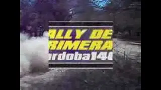RALLY DE PRIMERA 2014