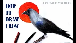 How to Draw crow || With Color ||