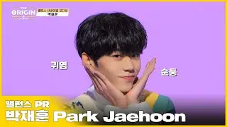 [THE ORIGIN] 밸런스 PR｜박재훈 (Park Jaehoon) : 매력이 팡팡 터지는 센스쟁이 순둥 막내｜THE ORIGIN - A, B, Or What?