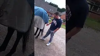 foal development