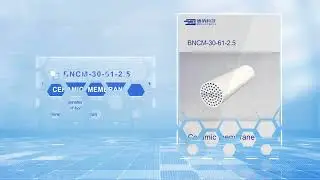 61-pore ceramic membrane