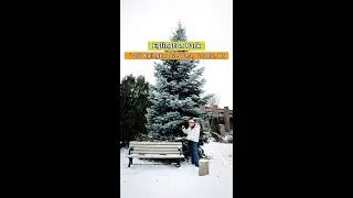 FCT Family: Outdoor Fun at Eglington Park