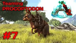 How to team a PROCOPTODON! || ARK Survival Evolved : Playing 