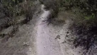 MTB Bosque de la Primavera: Vaquita o River Flow