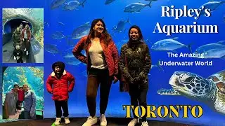 CN Tower & Ripley's Aquarium TORONTO | amazing underwater world #familyvlogs #lifeincanada