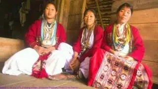 Endangered and Emerging Languages