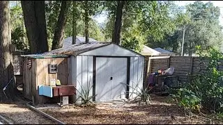 Mama's Place is live! #chicken #lifeisbutadream #love #birds #shorts #shortvideo #viral