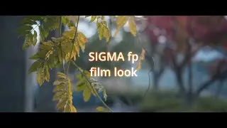 SIGMA fp  film look /CinemaDNG 12bit RAW/SIGMA 45mm F2.8 DG DN | Contemporary